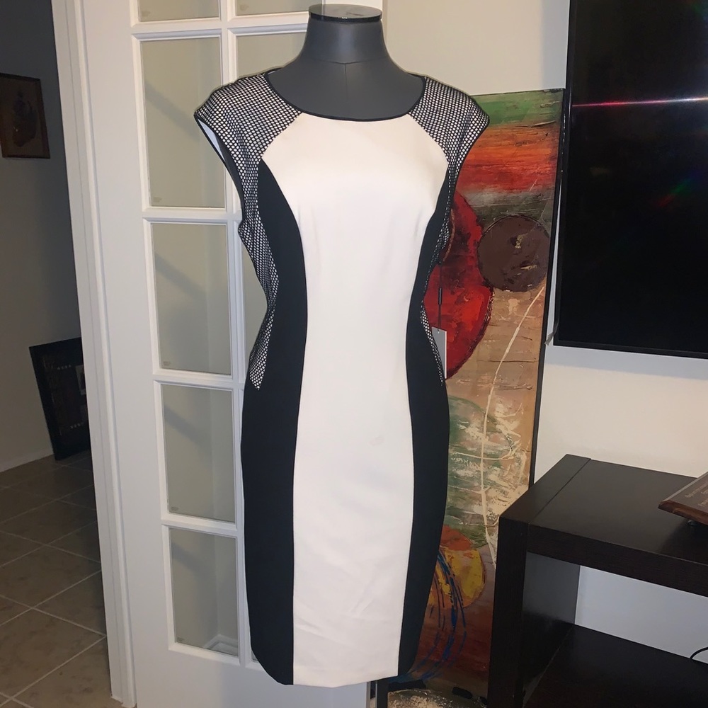 NWT Calvin Klein B/W size 12 dress.